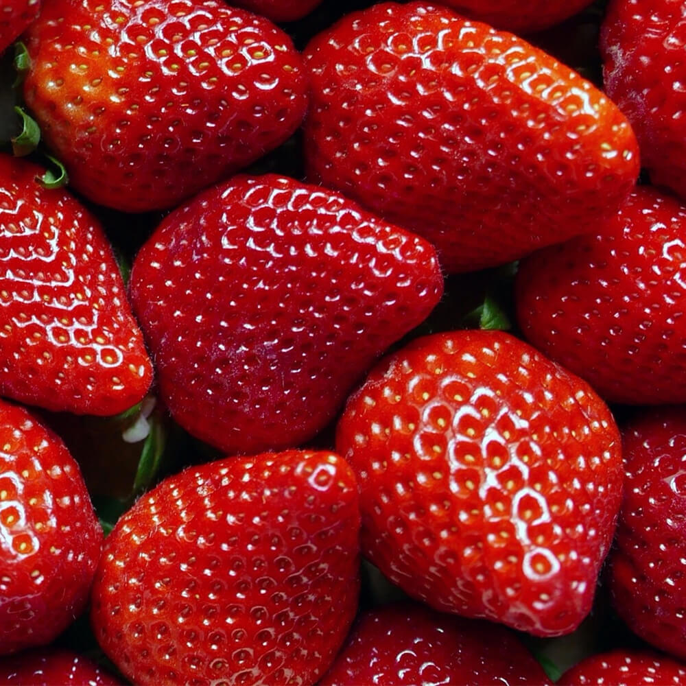Erdbeere