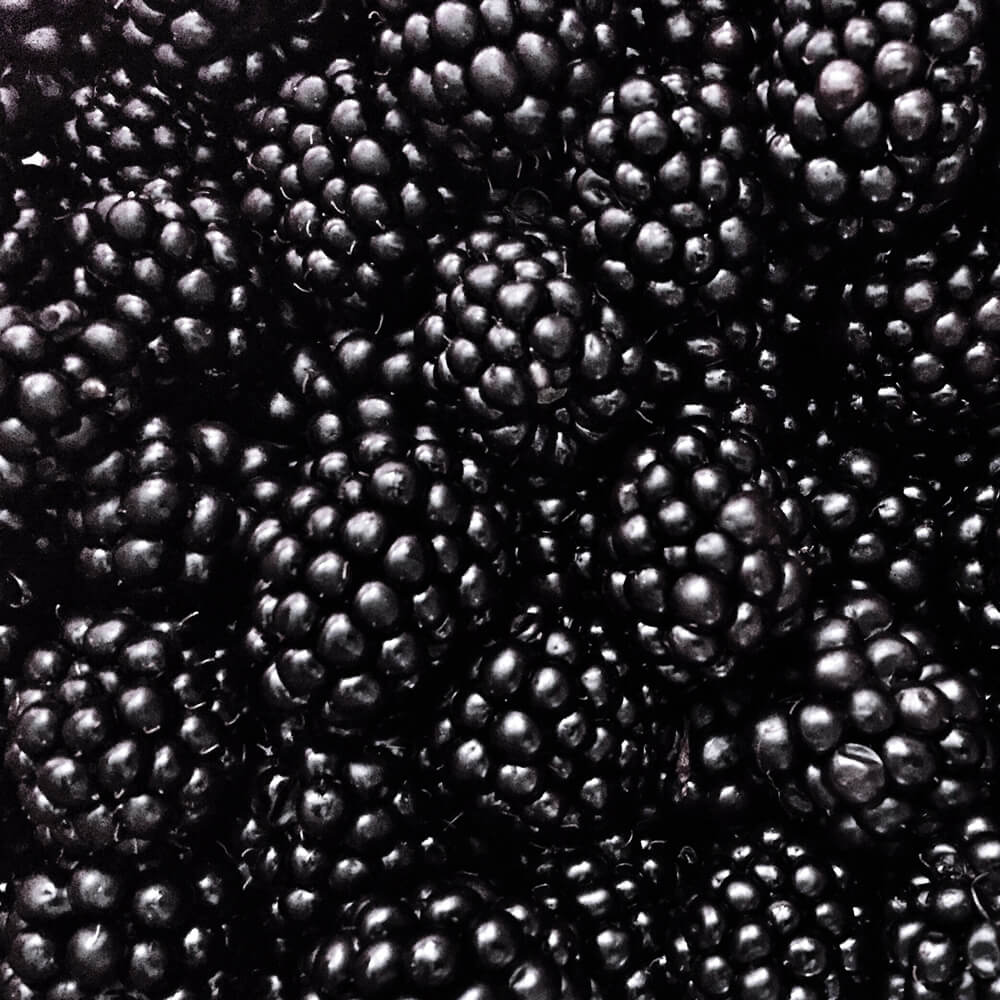 Brombeere