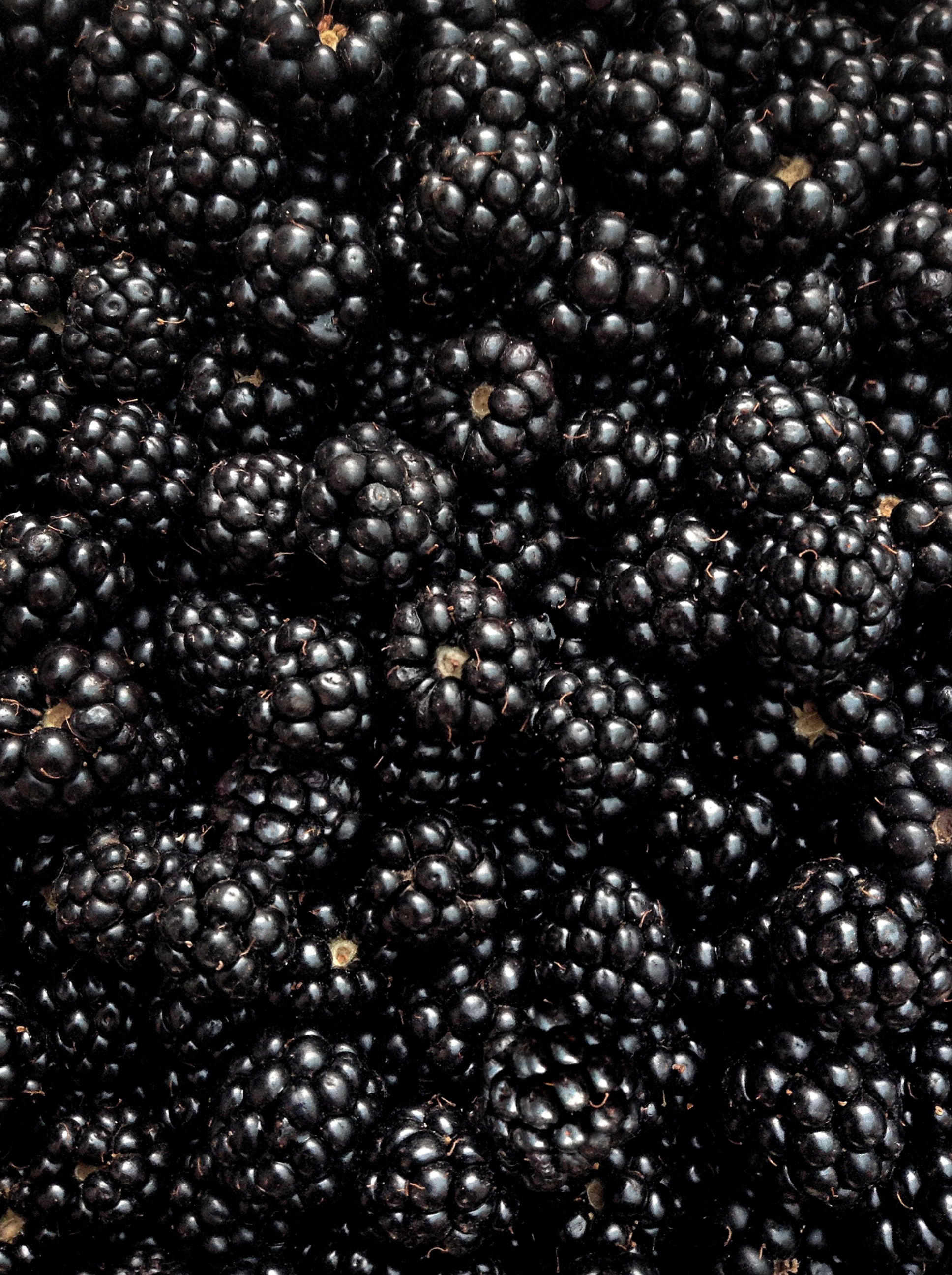 Brombeere