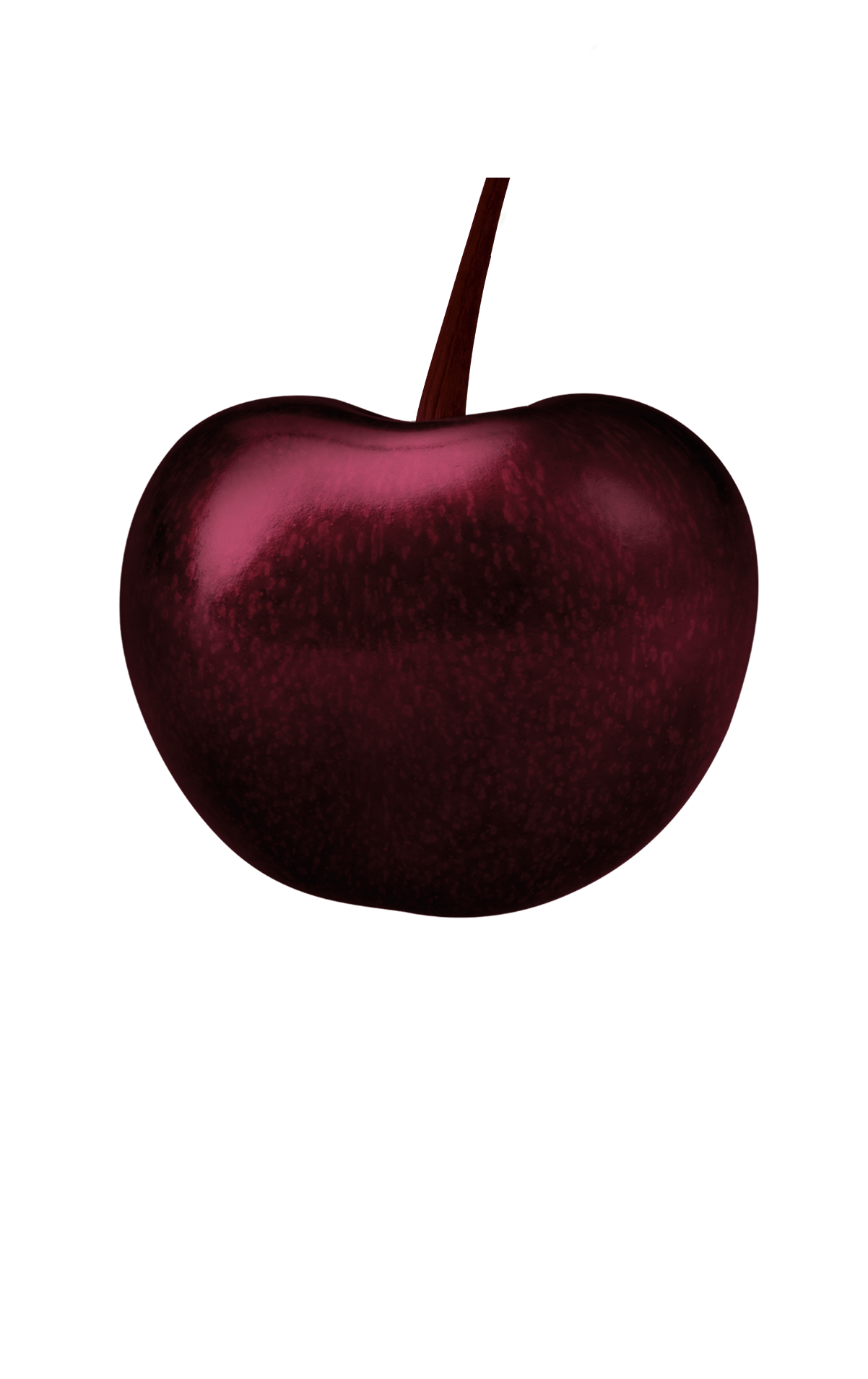 Schwarzkirsche