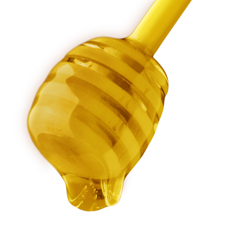 Akazienblüte