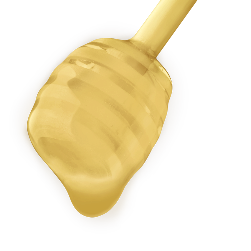 Rapsblüte cremig