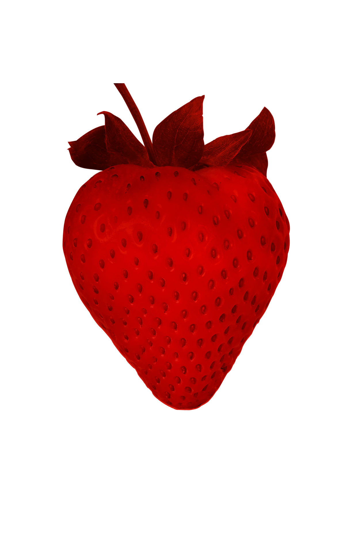 Erdbeere