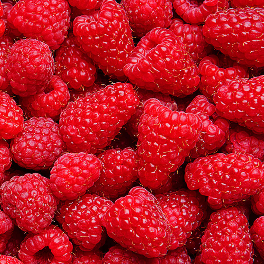 Himbeere