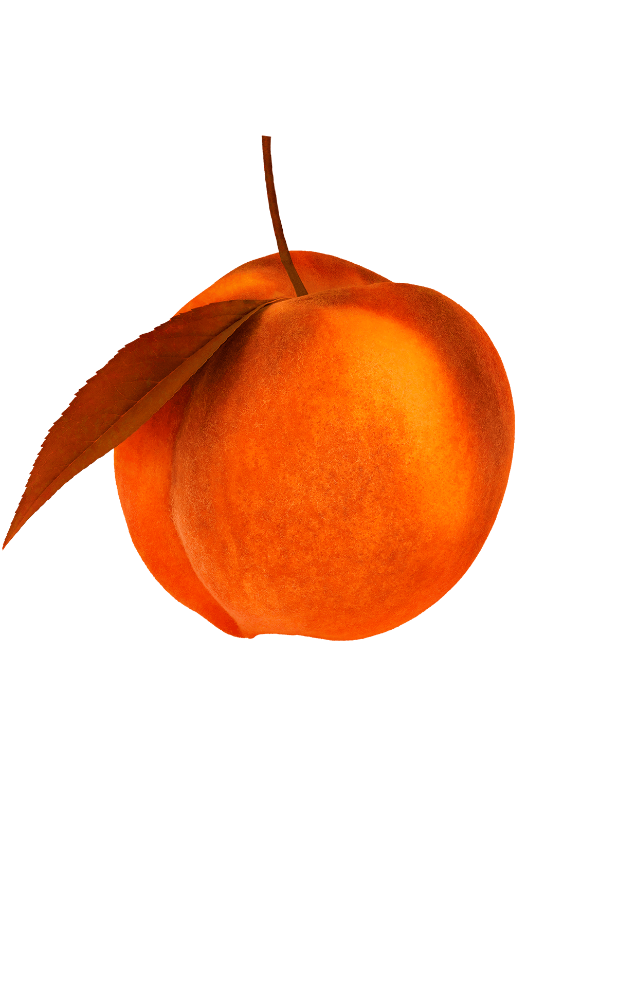 Pfirsich